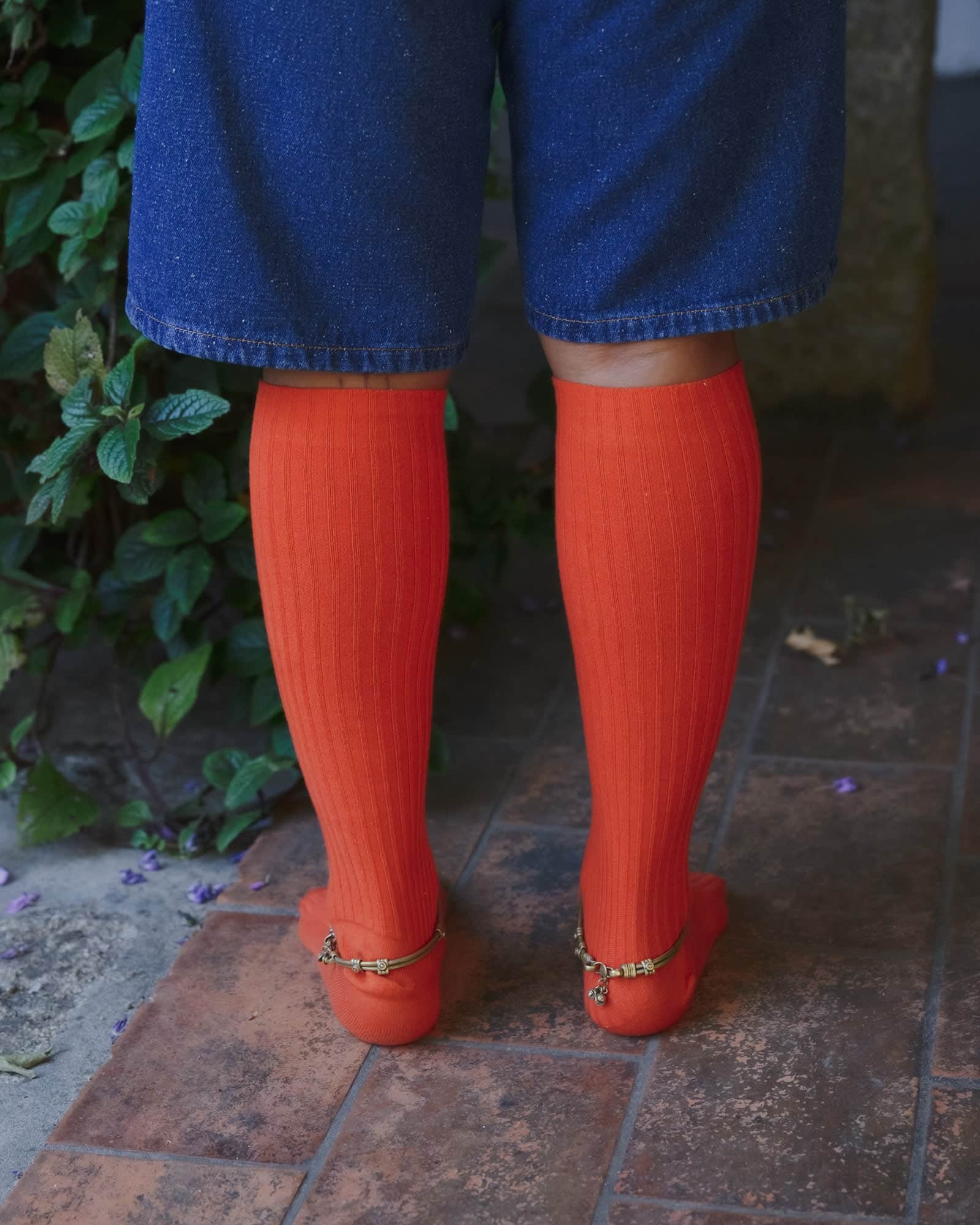 Rib Knee Socks - Image 4