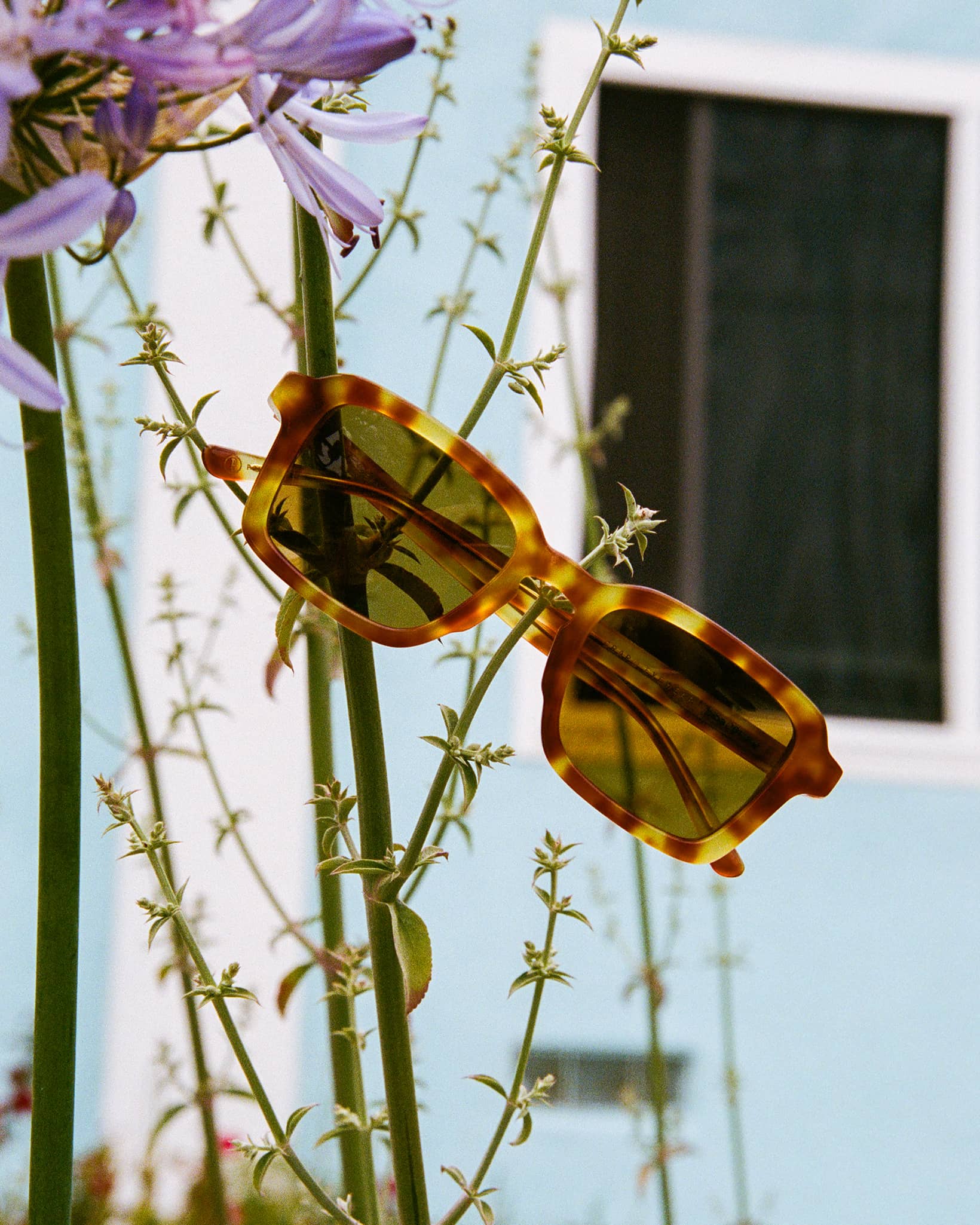 Heavy Tropix Sunglasses - Image 9