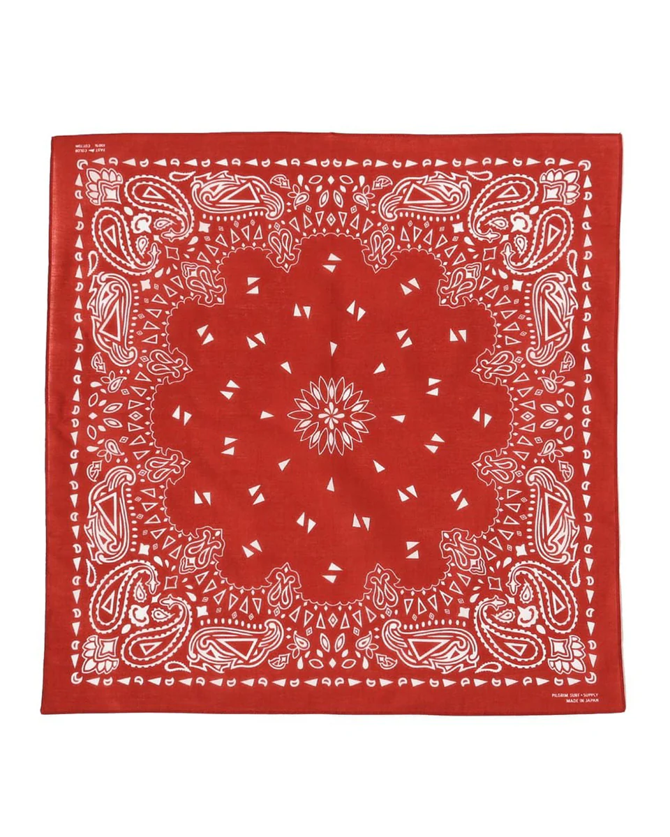 Paisley Bandana - Image 5